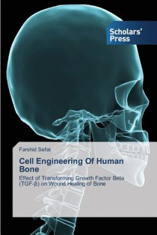 Książka Cell Engineering Of Human Bone Farshid Sefat