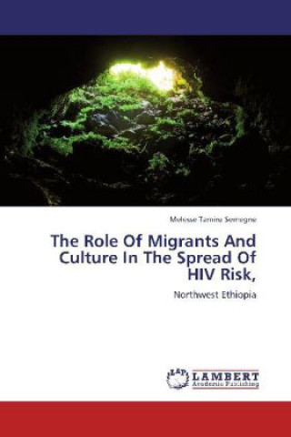 Kniha The Role Of Migrants And Culture In The Spread Of HIV Risk, Melesse Tamiru Semegne