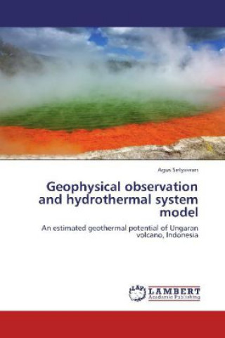 Könyv Geophysical observation and hydrothermal system model Agus Setyawan