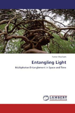 Libro Entangling Light Tomer Shacham