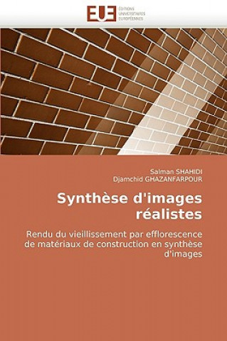 Книга Synthese D'Images Realistes Salman Shahaidi