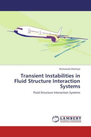 Könyv Transient Instabilities in Fluid Structure Interaction Systems Muhamad Shehryar