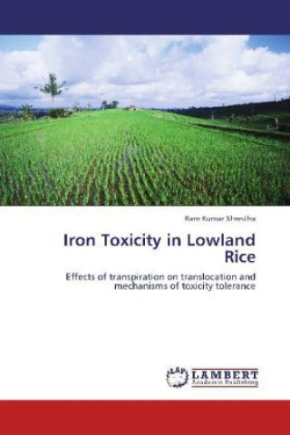 Carte Iron Toxicity in Lowland Rice Ram Kumar Shrestha