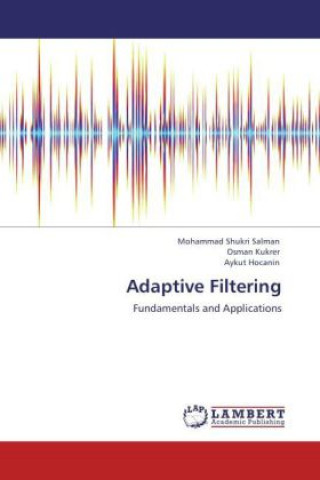 Książka Adaptive Filtering Mohammad Shukri Salman