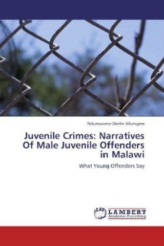 Book Juvenile Crimes: Narratives Of Male Juvenile Offenders in Malawi Ndumanene Devlin Silumgwe