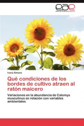 Libro Que condiciones de los bordes de cultivo atraen al raton maicero Ivana Simone