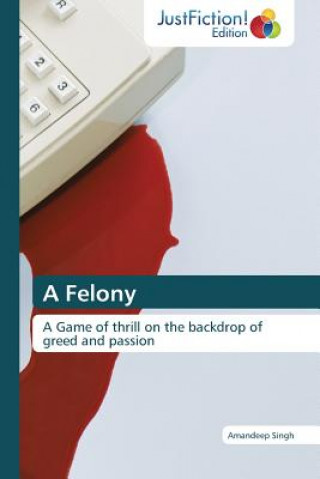 Boek Felony Amandeep Singh