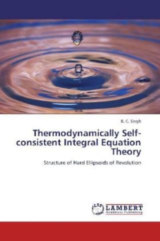 Könyv Thermodynamically Self-consistent Integral Equation Theory R. C. Singh