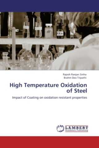 Kniha High Temperature Oxidation of Steel Rajesh Ranjan Sinha