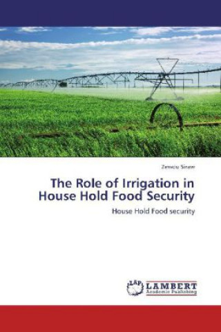 Carte The Role of Irrigation in House Hold Food Security Zewdu Siraw