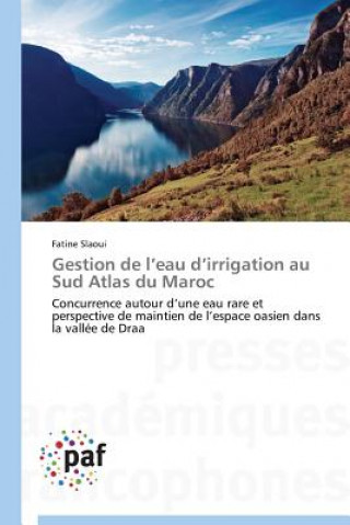 Kniha Gestion de l'Eau d'Irrigation Au Sud Atlas Du Maroc Fatine Slaoui