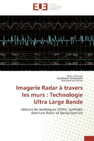 Książka Imagerie Radar à travers les murs : Technologie Ultra Large Bande Zohra Slimane