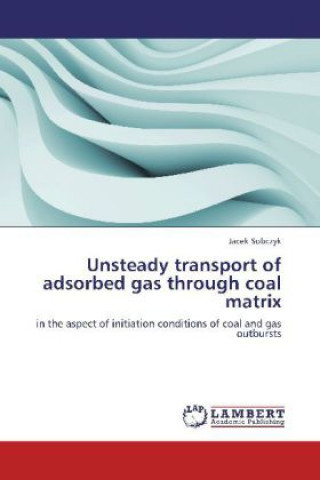Könyv Unsteady transport of adsorbed gas through coal matrix Jacek Sobczyk