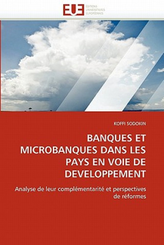 Kniha Banques et microbanques dans les pays en voie de developpement Koffi Sodokin