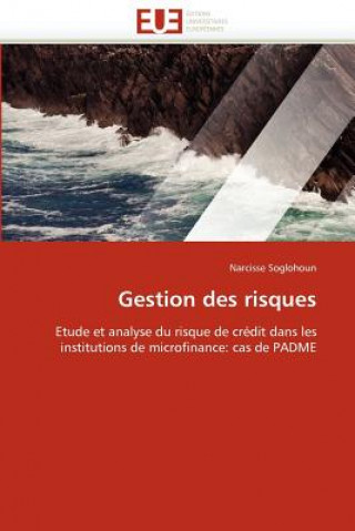 Book Gestion Des Risques Narcisse Soglohoun