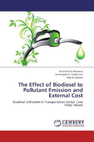 Kniha The Effect of Biodiesel to Pollutant Emission and External Cost Soni Solistia Wirawan