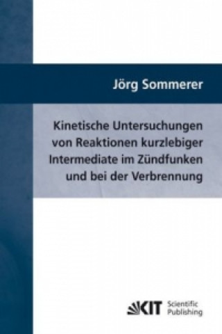 Książka Kinetische Untersuchungen von Reaktionen kurzlebiger Intermediate im Zundfunken und bei der Verbrennung Jörg Sommerer