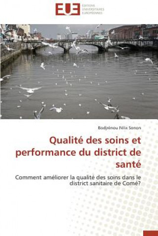 Kniha Qualit  Des Soins Et Performance Du District de Sant Sonon-B