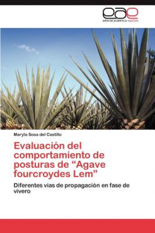 Kniha Evaluacion del Comportamiento de Posturas de Agave Fourcroydes LEM Maryla Sosa del Castillo