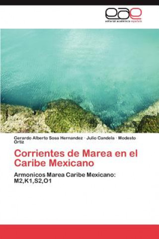 Carte Corrientes de Marea En El Caribe Mexicano Gerardo Alberto Sosa Hernandez