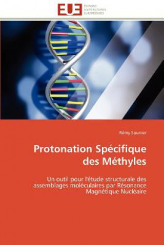 Könyv Protonation Sp cifique Des M thyles Rémy Sounier