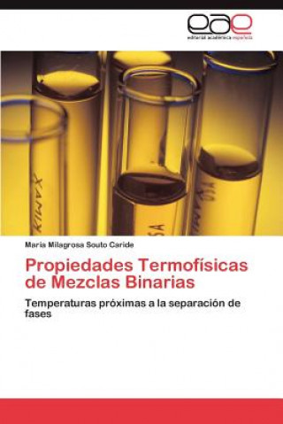 Könyv Propiedades Termofisicas de Mezclas Binarias María Milagrosa Souto Caride