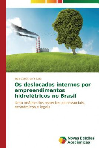 Kniha Os deslocados internos por empreendimentos hidreletricos no Brasil Souza Joao Carlos De