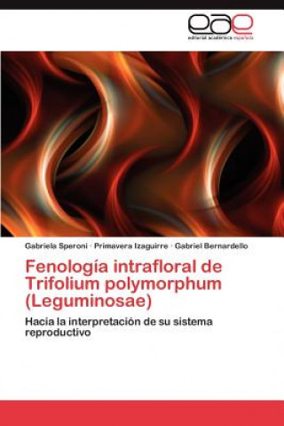 Könyv Fenologia intrafloral de Trifolium polymorphum (Leguminosae) Speroni Gabriela