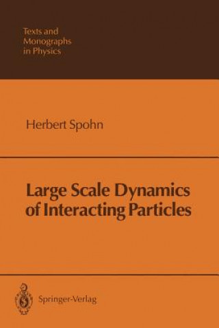 Kniha Large Scale Dynamics of Interacting Particles Herbert Spohn