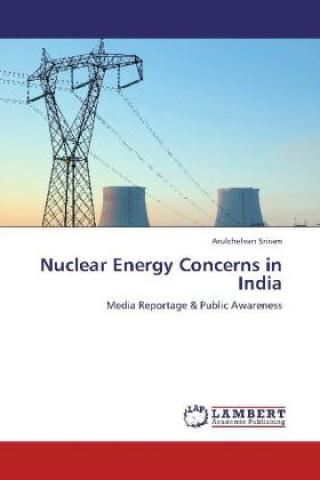 Kniha Nuclear Energy Concerns in India Arulchelvan Sriram