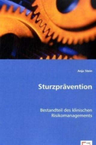 Книга Sturzprävention Anja Stein