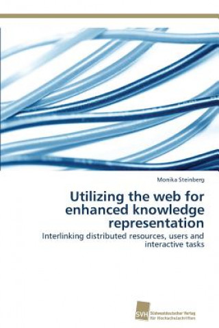 Buch Utilizing the web for enhanced knowledge representation Monika Steinberg