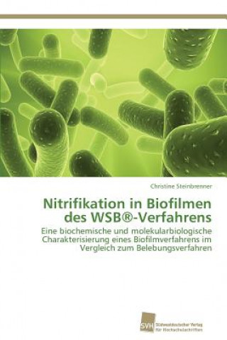 Könyv Nitrifikation in Biofilmen des WSB(R)-Verfahrens Christine Steinbrenner