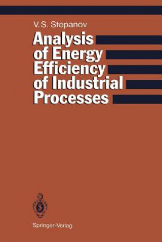 Kniha Analysis of Energy Efficiency of Industrial Processes Vladimir S. Stepanov