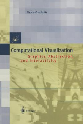 Boek Computational Visualization Thomas Strothotte