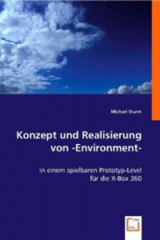 Buch Konzept und Realisierung von -Environment- Michael Sturm