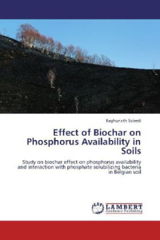 Buch Effect of Biochar on Phosphorus Availability in Soils Raghunath Subedi