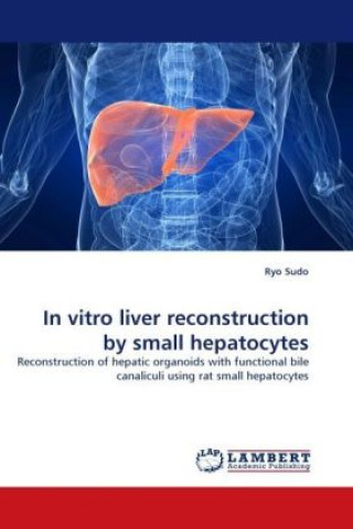 Könyv In vitro liver reconstruction by small hepatocytes Ryo Sudo