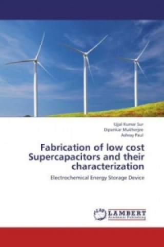 Könyv Fabrication of low cost Supercapacitors and their characterization Ujjal Kumar Sur