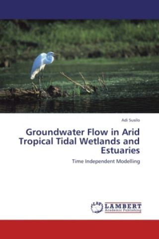 Könyv Groundwater Flow in Arid Tropical Tidal Wetlands and Estuaries Adi Susilo