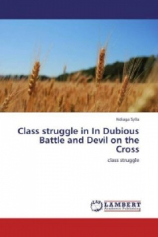 Könyv Class struggle in In Dubious Battle and Devil on the Cross Ndiaga Sylla