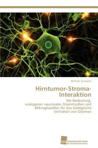 Knjiga Hirntumor-Stroma-Interaktion Michael Synowitz