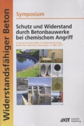 Książka Schutz und Widerstand durch Betonbauwerke bei chemischem Angriff Ulrich Nolting