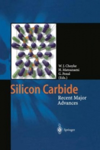 Knjiga Silicon Carbide Wolfgang J. Choyke