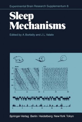 Kniha Sleep Mechanisms A. Borbely