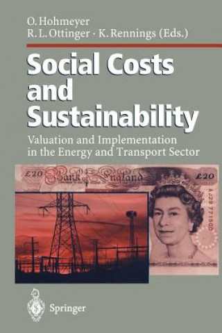 Buch Social Costs and Sustainability Olav Hohmeyer