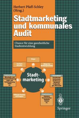 Kniha Stadtmarketing Und Kommunales Audit Herbert Pfaff-Schley