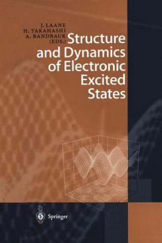 Kniha Structure and Dynamics of Electronic Excited States Andre Bandrauk