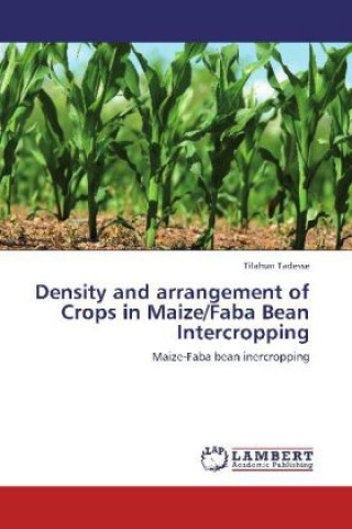 Книга Density and arrangement of Crops in Maize/Faba Bean Intercropping Tilahun Tadesse