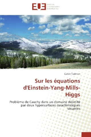 Kniha Sur les équations d'Einstein-Yang-Mills-Higgs Calvin Tadmon